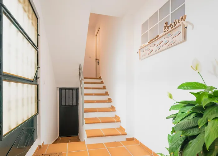 Apartment Surf House Gaviotas *